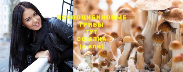 метамфетамин Алексеевка