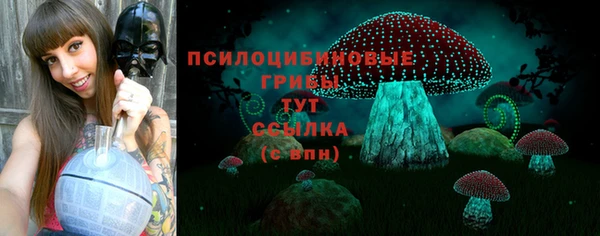 метамфетамин Алексеевка