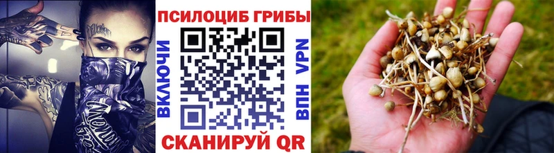 KRAKEN маркетплейс  маркетплейс наркотические препараты  Псилоцибиновые грибы прущие грибы  Венёв 